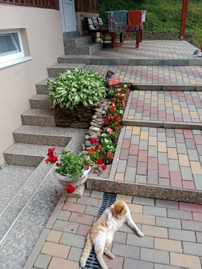 Котедж Подобовец Екстериор снимка